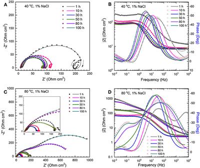 CO2 Corrosion of Low Carbon Steel Under the Joint Effects of Time-Temperature-Salt Concentration